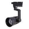 Миниатюра фото трековый светильник arte lamp wales a1613pl-1bk | 220svet.ru
