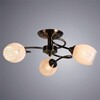 Миниатюра фото потолочная люстра arte lamp arya a2941pl-3ab | 220svet.ru