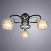 Миниатюра фото потолочная люстра arte lamp ginevra a1604pl-3bk | 220svet.ru