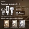 Миниатюра фото настольная лампа rivoli muriel 7550-501 б0070136 | 220svet.ru