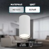 Миниатюра фото настенно-потолочный светильник эра ol31 wh б0056375 | 220svet.ru
