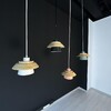 Миниатюра фото подвесной светильник imperium loft eco 178163-26 | 220svet.ru