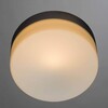 Миниатюра фото потолочный светильник arte lamp shirp a3211pl-1si | 220svet.ru