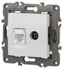 Миниатюра фото розетка эра elegance 14-3110-01м rj45+tv, белый матовый б0065767 | 220svet.ru